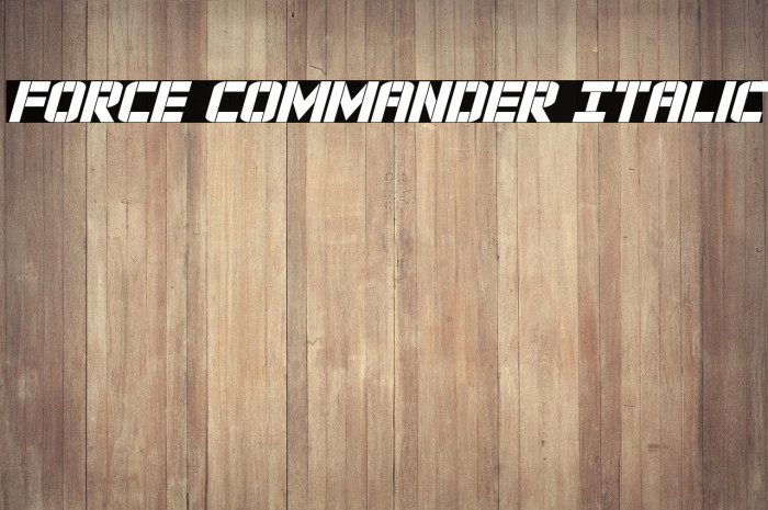 Force Commander Italic Example 3