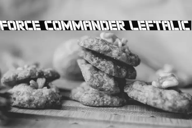 Force Commander Leftalic Font examples