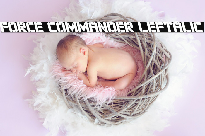 Force Commander Leftalic Example 3