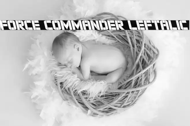 Force Commander Leftalic Font examples