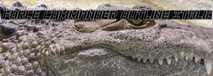 Force Commander Outline Italic Example 1