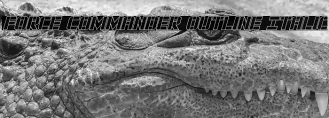 Force Commander Outline Italic Font examples