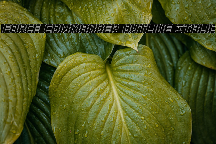 Force Commander Outline Italic Example 3