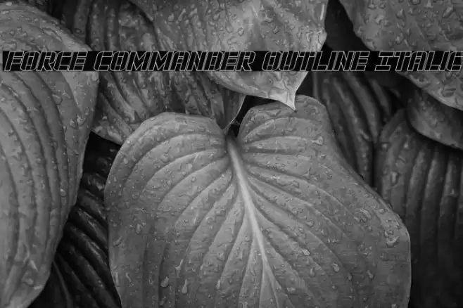 Force Commander Outline Italic Font examples