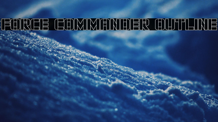 Force Commander Outline Example 3