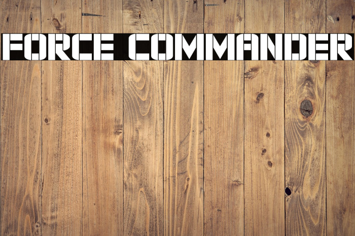 Force Commander Example 1