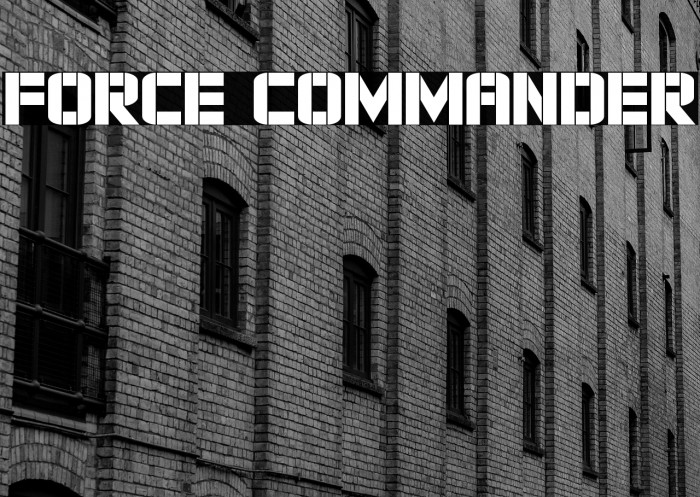 Force Commander Example 2