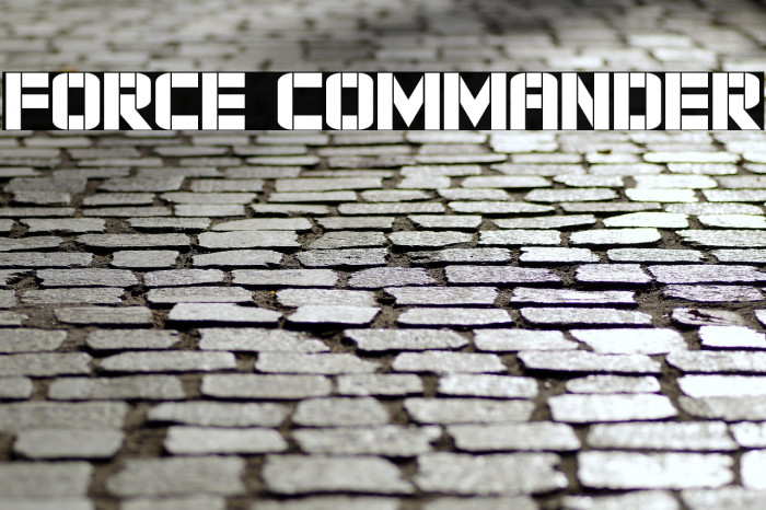 Force Commander Example 3