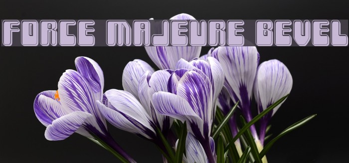 Force Majeure Bevel Font examples