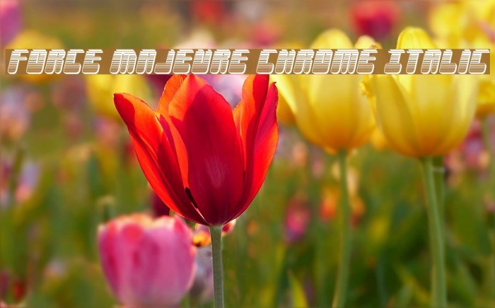 Force Majeure Chrome Italic फ़ॉन्ट examples