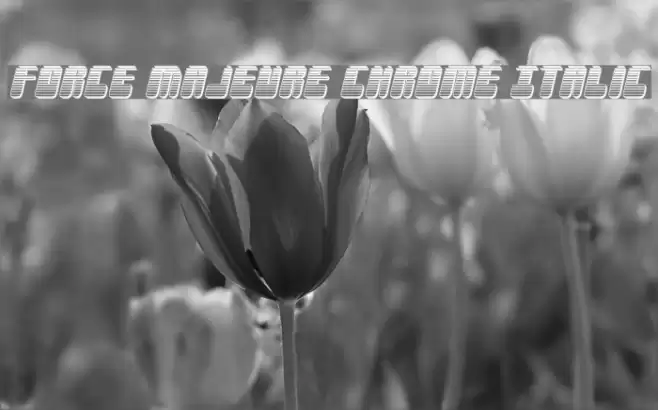 Force Majeure Chrome Italic फ़ॉन्ट examples