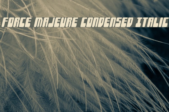 Force Majeure Condensed Italic Example 3