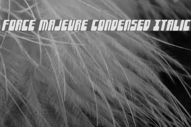 Force Majeure Condensed Italic Font examples