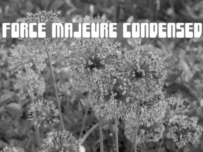 Force Majeure Condensed Font examples