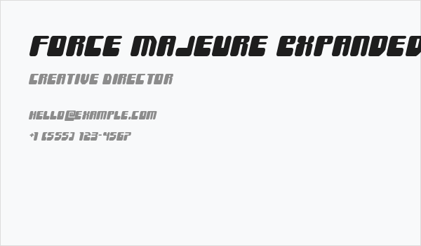 Force Majeure Expanded Italic Business Card