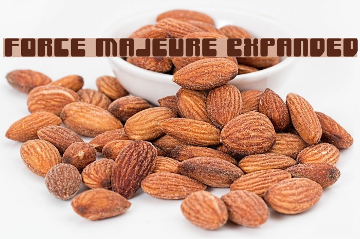 Force Majeure Expanded Font examples