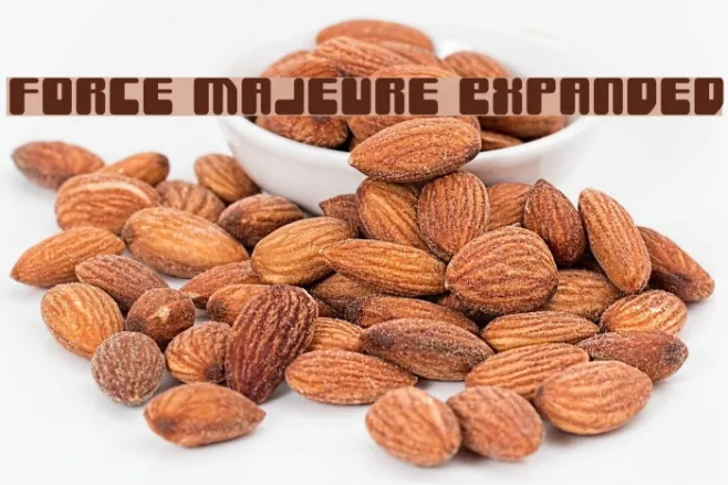 Force Majeure Expanded Example 1