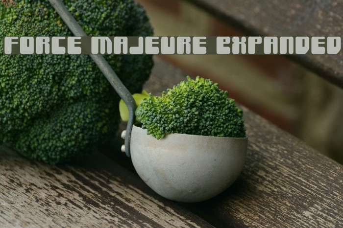 Force Majeure Expanded Font examples