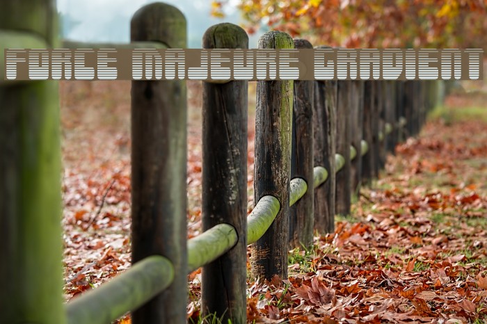 Force Majeure Gradient Font examples