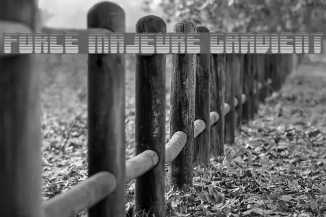 Force Majeure Gradient Font examples