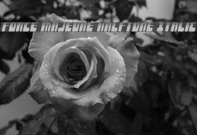 Force Majeure Halftone Italic Font examples