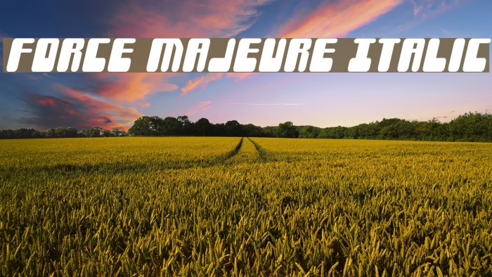 Force Majeure Italic Example 2