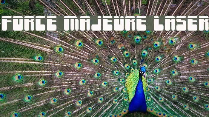 Force Majeure Laser Example 1