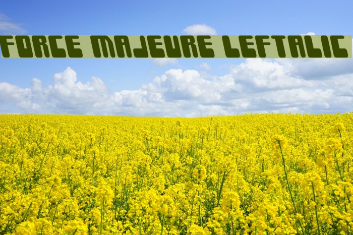 Force Majeure Leftalic Font examples