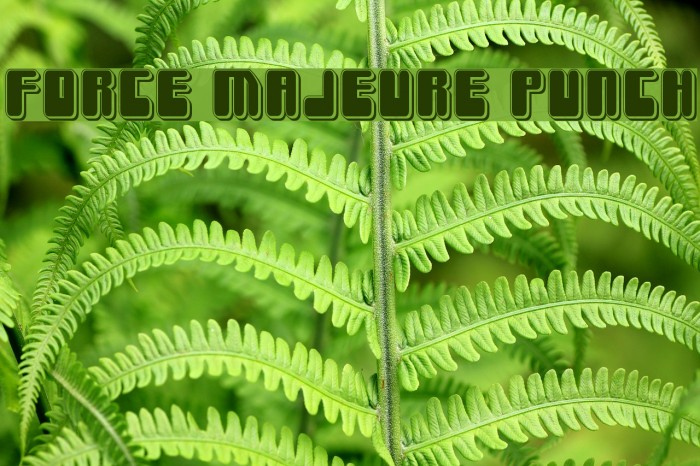 Force Majeure Punch Font examples