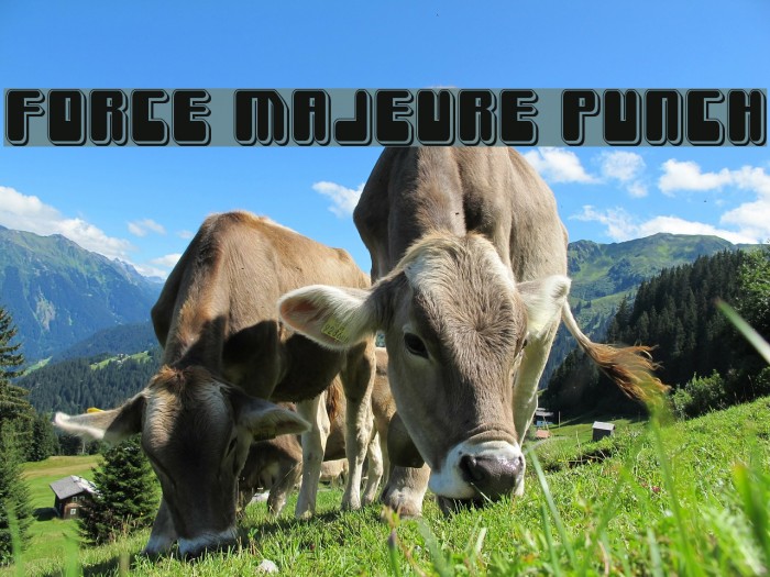 Force Majeure Punch Font examples