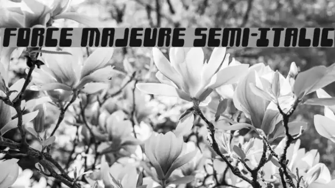 Force Majeure Semi-Italic Font examples