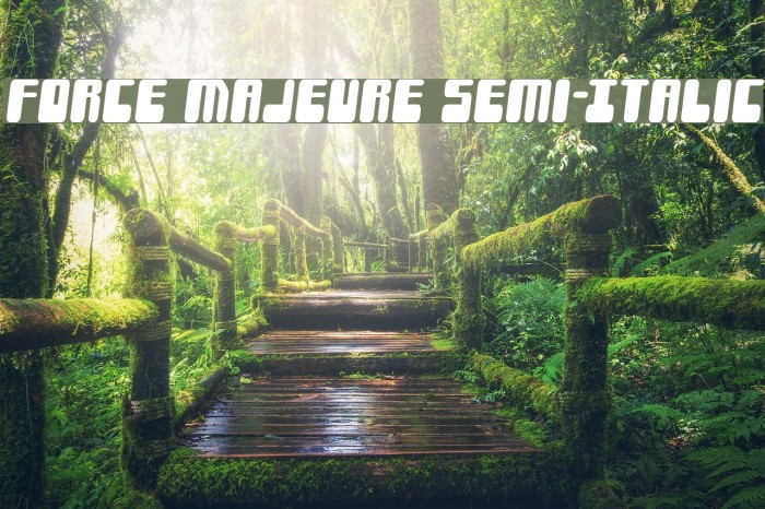 Force Majeure Semi-Italic Example 3