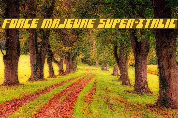 Force Majeure Super-Italic Font examples