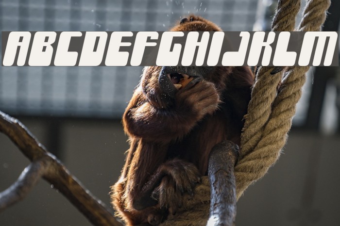 Force Majeure Font examples