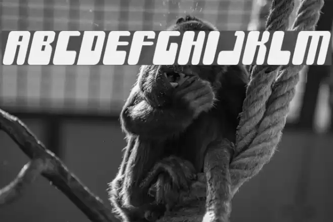 Force Majeure Font examples