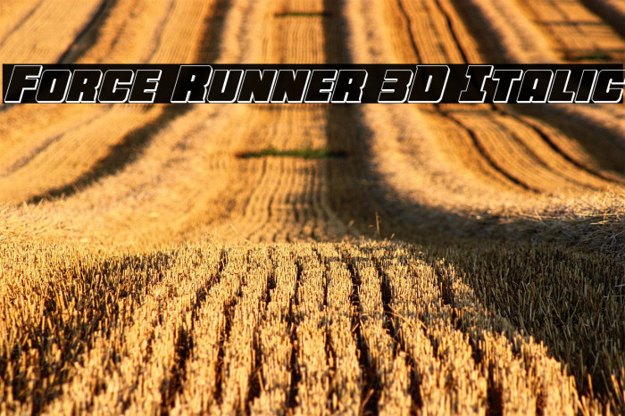 Force Runner 3D Italic Example 1