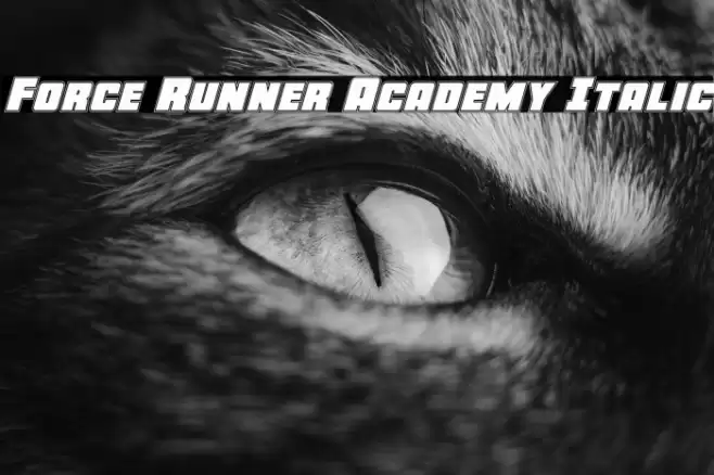 Force Runner Academy Italic Font examples
