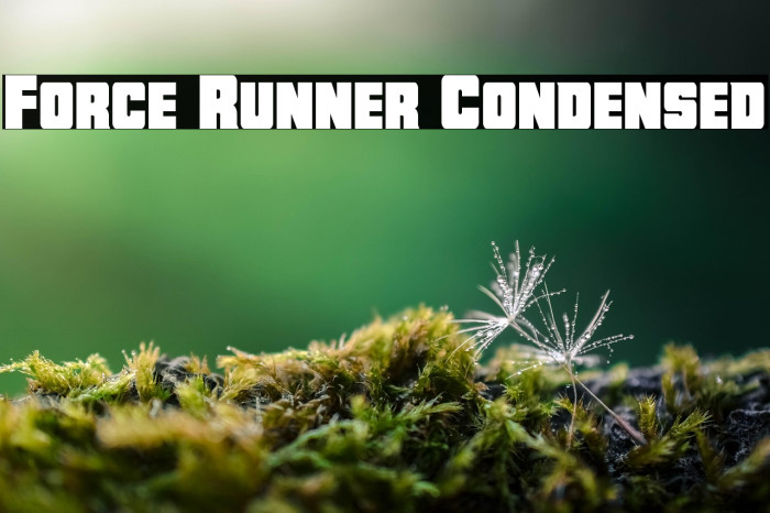 Force Runner Condensed Example 2