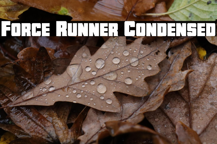 Force Runner Condensed Example 3
