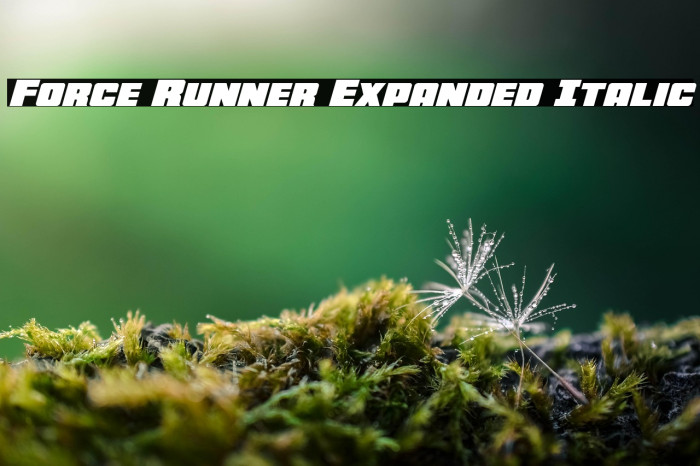 Force Runner Expanded Italic Example 1