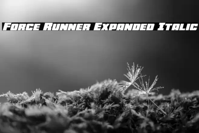 Force Runner Expanded Italic Font examples