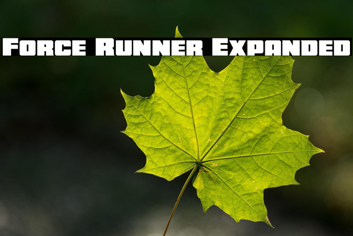 Force Runner Expanded Example 1