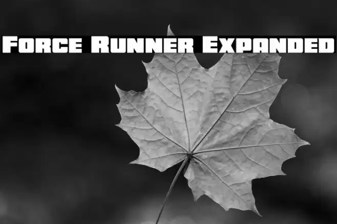 Force Runner Expanded Font examples