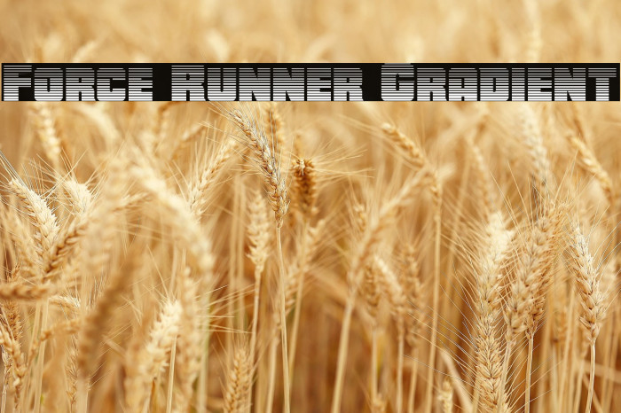 Force Runner Gradient Example 3