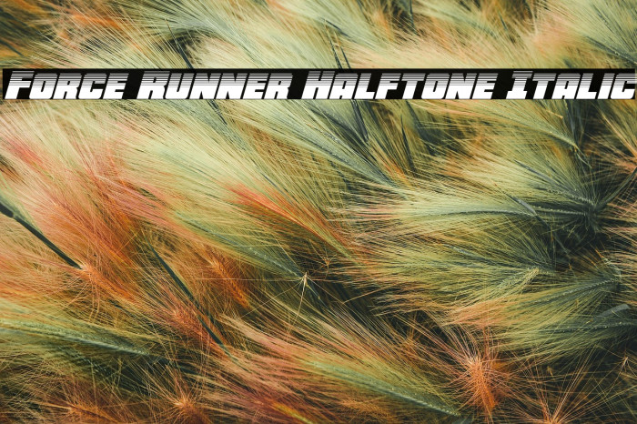 Force Runner Halftone Italic Example 3