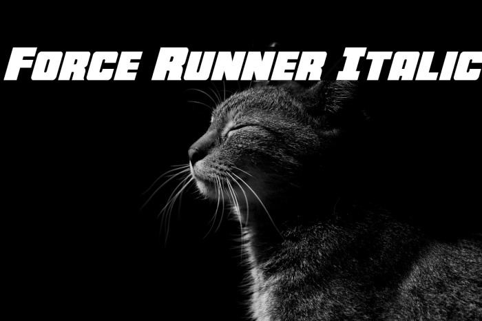 Force Runner Italic Example 2