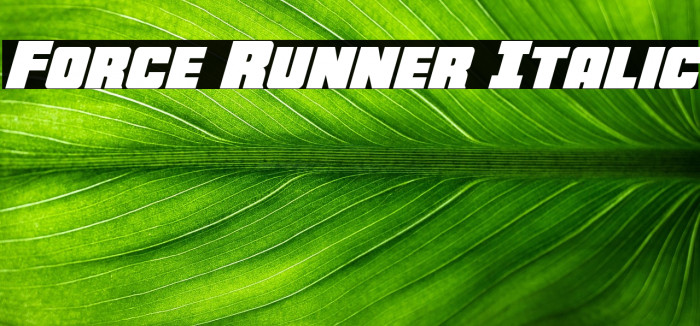 Force Runner Italic Example 3