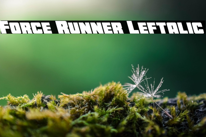 Force Runner Leftalic Example 2