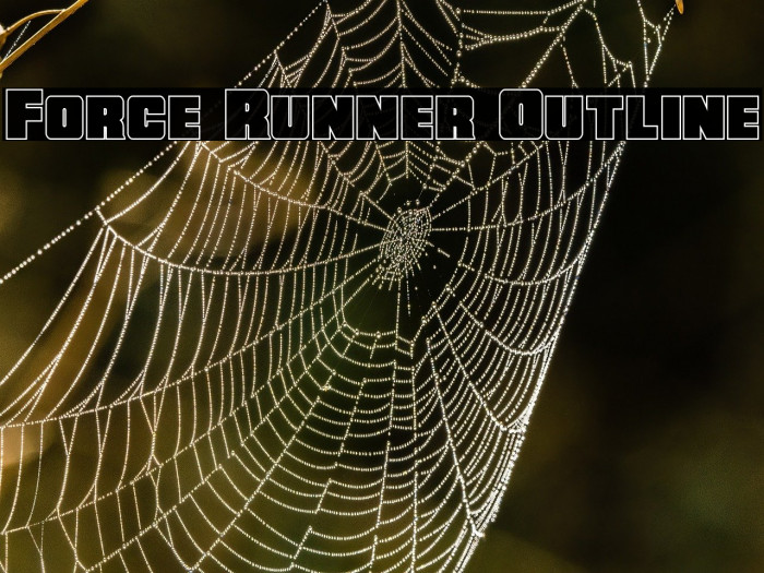 Force Runner Outline Example 3