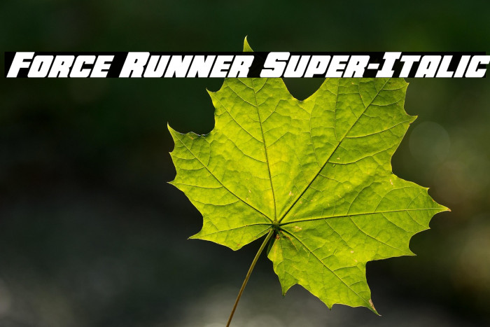 Force Runner Super-Italic Example 1